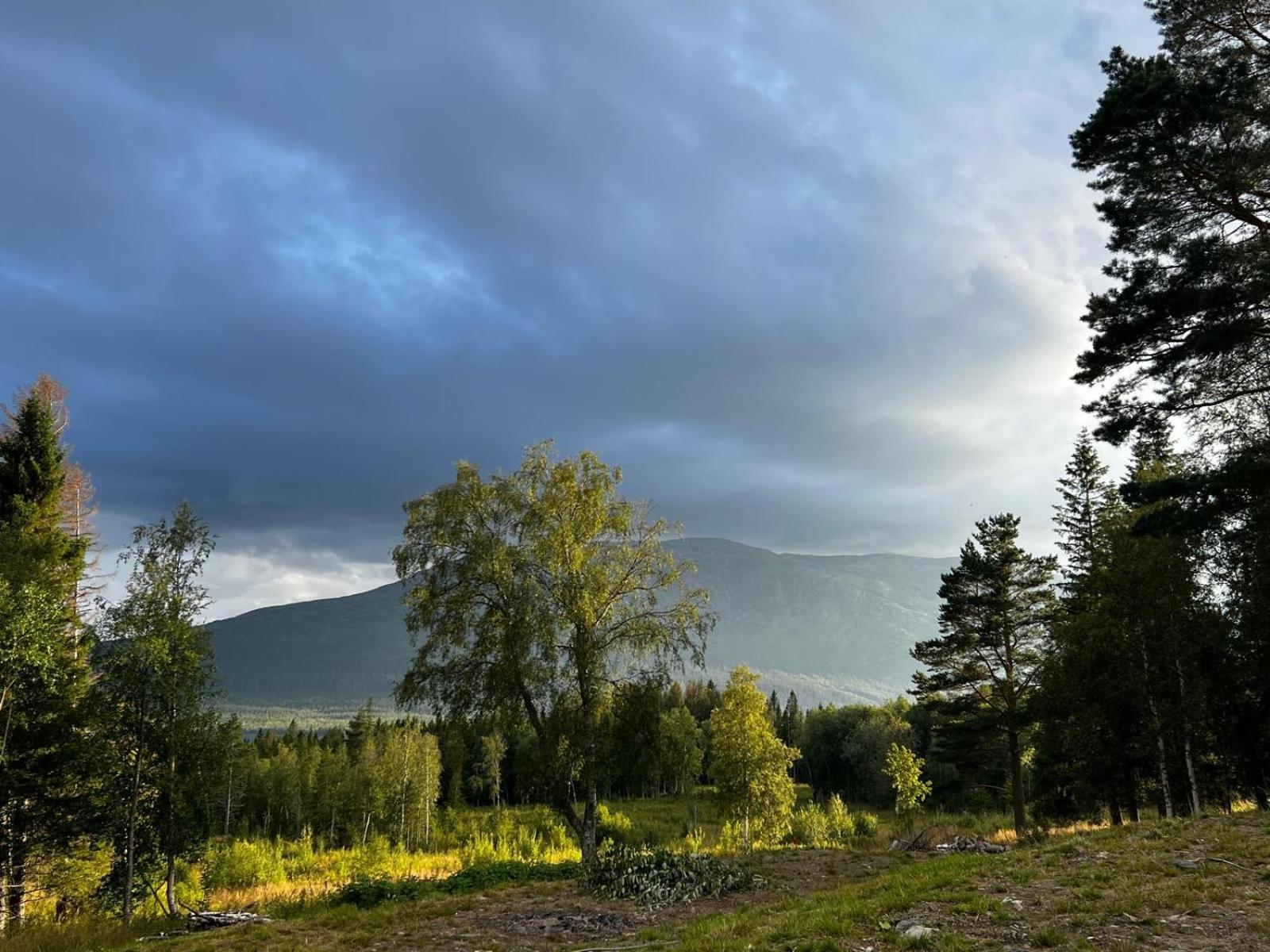 Mountain Holiday Homes - Ottsjoe, Trillevallen -Sweden Оре Номер фото